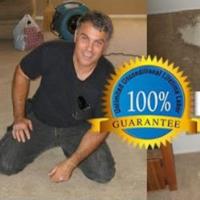 Creative Jacksonville Carpet Repair image 1